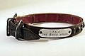 Fala's silver-and-leather collar, engraved with the words "Fala, the White House."