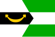 Vlag