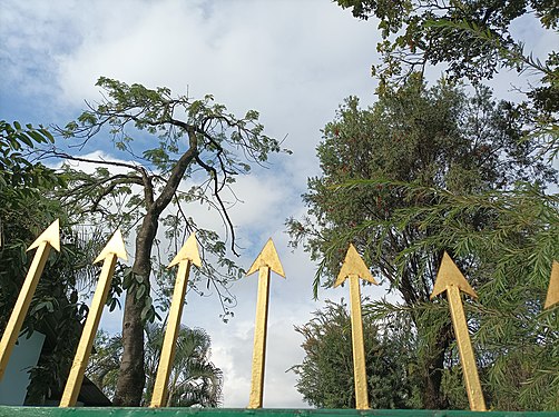 A golden fencing protecting a natural site in India.