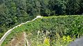 Todesstiege zum Steinbruch Wiener Graben