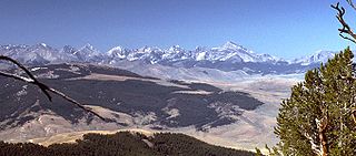 <span class="mw-page-title-main">Salmon–Challis National Forest</span> National forest in Idaho, United States