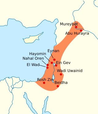 <span class="mw-page-title-main">Natufian culture</span> Archaeological culture of the Levant, dating to around 15,000 to 11,500 years ago