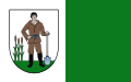 Flag of Nowodworski County, Pomeranian Voivodeship