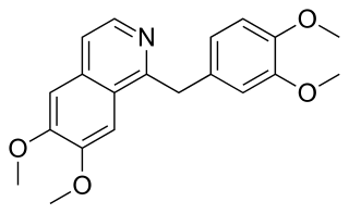 <span class="mw-page-title-main">Papaverine</span> Chemical compound