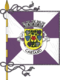 Flagge des Concelhos Cartaxo