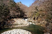 初冬の夏井川渓谷 2009年12月1日