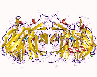 Nucleoside-diphosphatase Group of proteins having nucleoside-diphosphatase activity