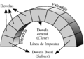 Elementos principais dun arco de medio punto.