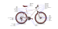 Diagram of a bicycle.