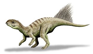 Chaoyangsaurus (Ornithischia)