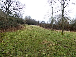 <span class="mw-page-title-main">Cowden Meadow</span> Protected area in Kent, England