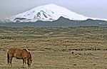 5. Hekla, underjordens "Häcklefjäll". Hästen anar inte faran.