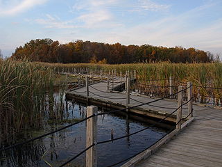 Horicon Marsh State Wildlife Area in Dodge and Fond du Lac counties, Wisconsin