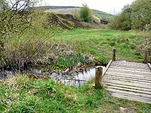 Petit cours d'eau dans une vallée herbeuse