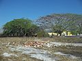 Misnebalam, Yucatán.