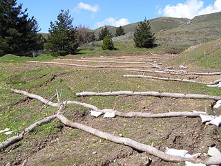 <span class="mw-page-title-main">Soil conservation</span> Preservation of soil nutrients