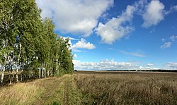 Field near village Zarubkino, Zubovo-Polyansky District