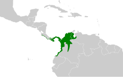 Distribución geográfica del copetón panameño.