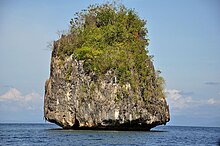 Nepenthes Viridis Islet, Dinagat Island Nepenthes viridis islet.jpg