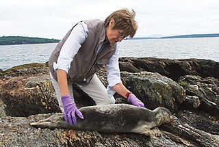 <span class="mw-page-title-main">Susan Shaw (conservationist)</span> American scientist, explorer, conservationist, author (1943–2022)