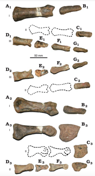 <i>Phuwiangvenator</i> Extinct genus of dinosaurs