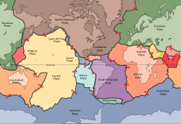 Plates in the crust of the earth, according to the plate tectonics theory