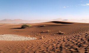 Sossusvlei Dune Ripples