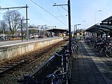 Station Dieren, 2008