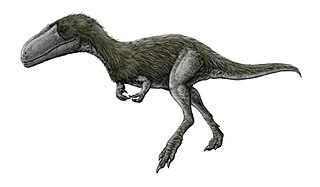 <i>Timurlengia</i> Extinct genus of dinosaurs