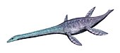 Attenborosaurus Attenborosaurus BW.jpg