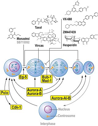 <span class="mw-page-title-main">Aurora inhibitor</span>