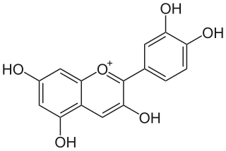 <span class="mw-page-title-main">Cyanidin</span> Anthocyanidin pigment in flowering plant petals and fruits