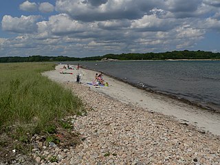 Demarest Lloyd State Park