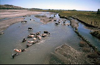 <span class="mw-page-title-main">North Laclo River</span> River in East Timor