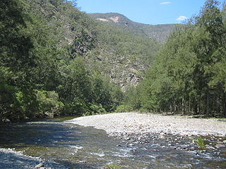 <span class="mw-page-title-main">Chandler River (New South Wales)</span> River in New South Wales, Australia