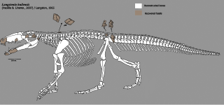 <i>Langstonia</i> Extinct species of reptile