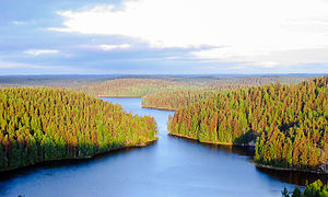 Parc national de Repovesi, Kouvola.