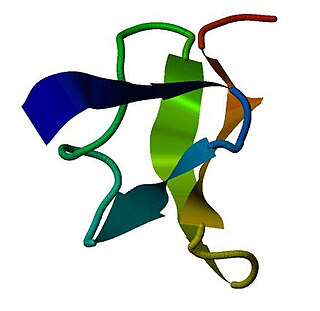 <span class="mw-page-title-main">Vanillotoxin</span> Chemical compound