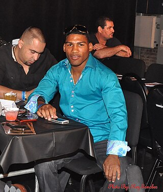 <span class="mw-page-title-main">Yuriorkis Gamboa</span> Cuban world champion boxer (b. 1981)