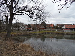 A pond in Zalešany