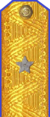 погоны 1943