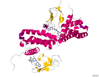 <span class="mw-page-title-main">CALCRL</span> Mammalian protein found in Homo sapiens