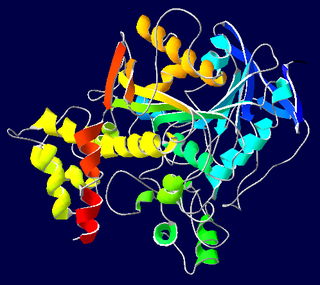 <span class="mw-page-title-main">Acetylcholinesterase inhibitor</span> Drugs that inhibit acetylcholinesterase