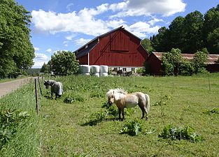 Ekonomibyggnader vid gården.