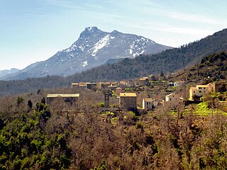 <span class="mw-page-title-main">Crocicchia</span> Commune in Corsica, France