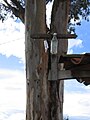 A cross and a bottle on the roof of a house in Pátzcuaro, Michoacan, Mexico.