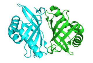 <span class="mw-page-title-main">Steroid Delta-isomerase</span>