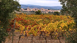 Le village en automne.