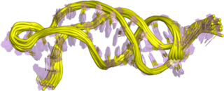 <span class="mw-page-title-main">Telomerase RNA component</span> NcRNA found in eukaryotes