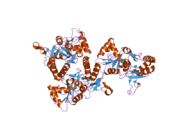 2gfe: Crystal structure of the GluR2 A476E S673D Ligand Binding Core Mutant at 1.54 Angstroms Resolution